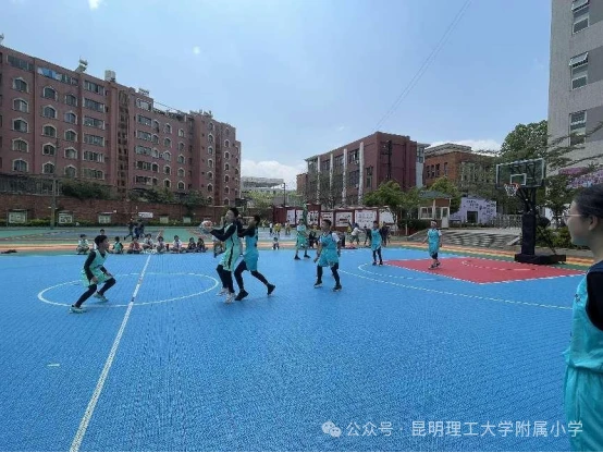 如何通过反馈分析提升篮球战术意识_2